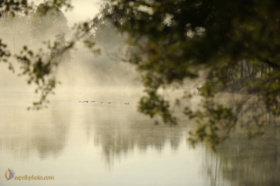 Nom de l'image : D30082732_1_(c)Norbert-JUNG — Description :